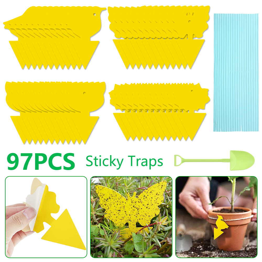 Pluokvzr 97PCS Fruit Fly Sticky Traps, Fungus Gnat Traps Insect Trap for Plants Kitchen Indoor and Outdoor